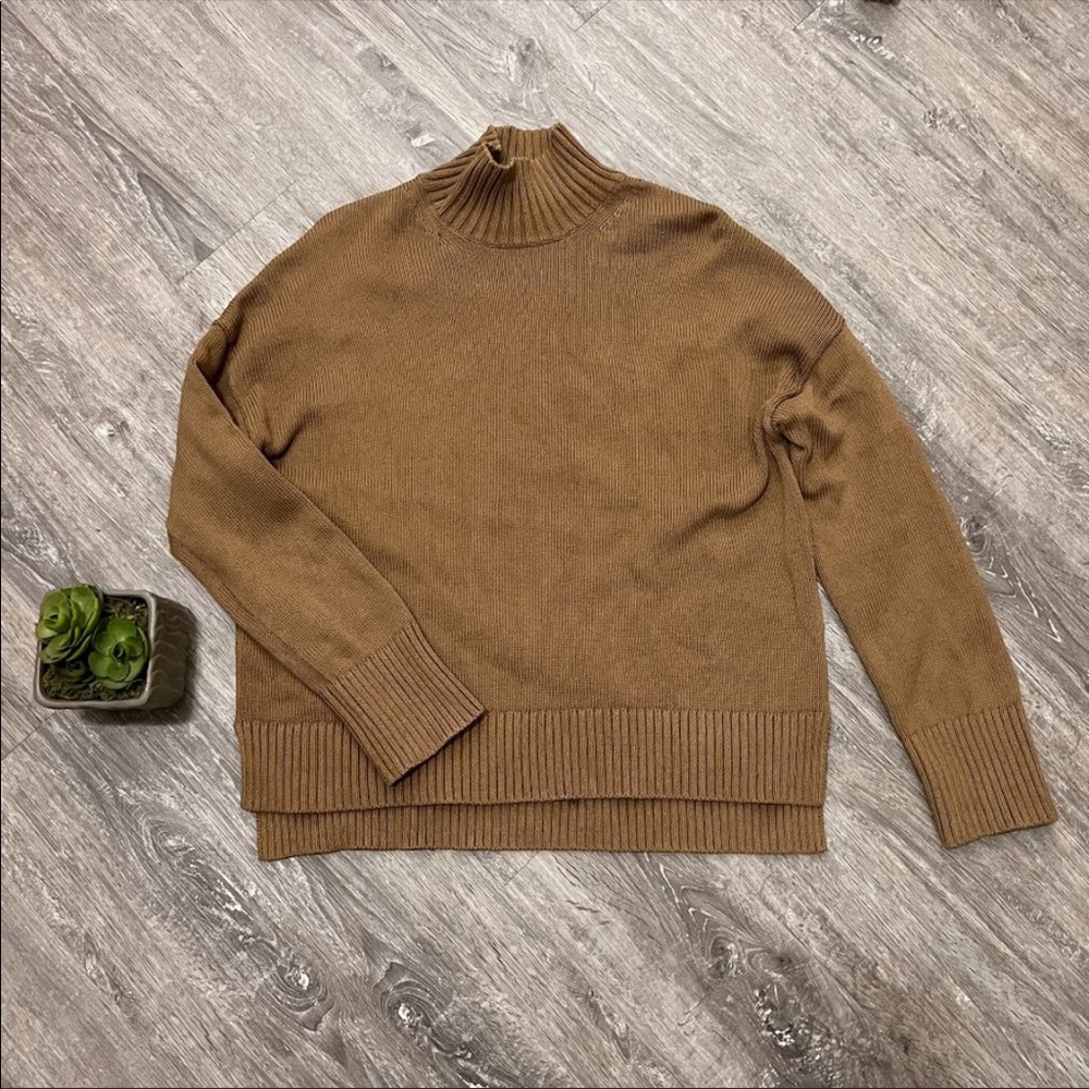 Everlane Oversize Cotton Knit Sweater Tutleneck Sz XS